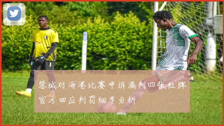 蓉城对海港比赛申诉漏判四张红牌官方回应判罚细节分析